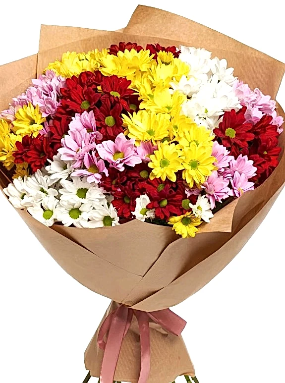 15 Adet Renkli Kasımpatı