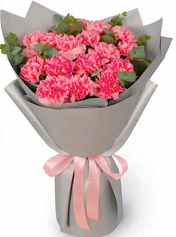 17 Pembe Karanfil Buketi