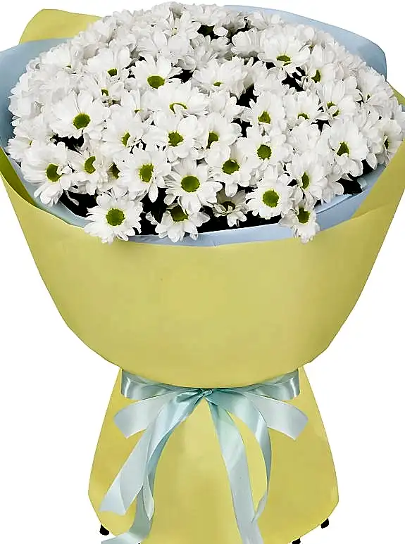 Büyük Sarı Kağıtta Papatya Buketi