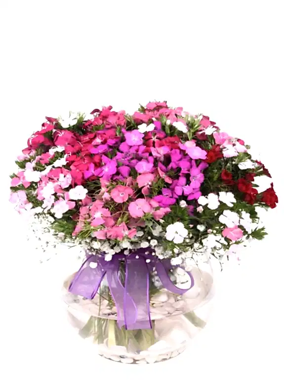 Cam Fanusta Baharın Küresi