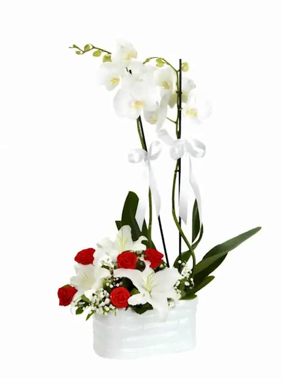 Çift Dallı Orkide ve Seramikte Güller