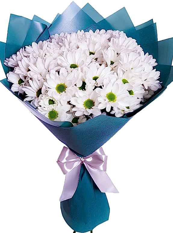 Mavi Kağıtta Papatya Buketi