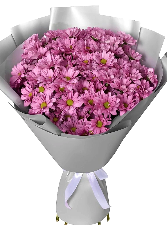 Mor Kasımpatı Buketi