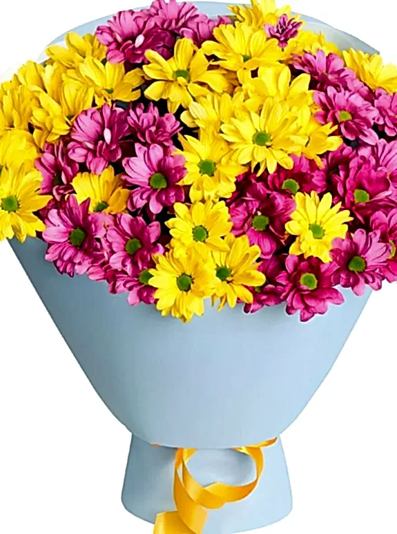 Mor ve Sarı Papatya Buketi