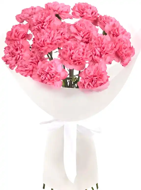 Pembe Karanfil Buketi