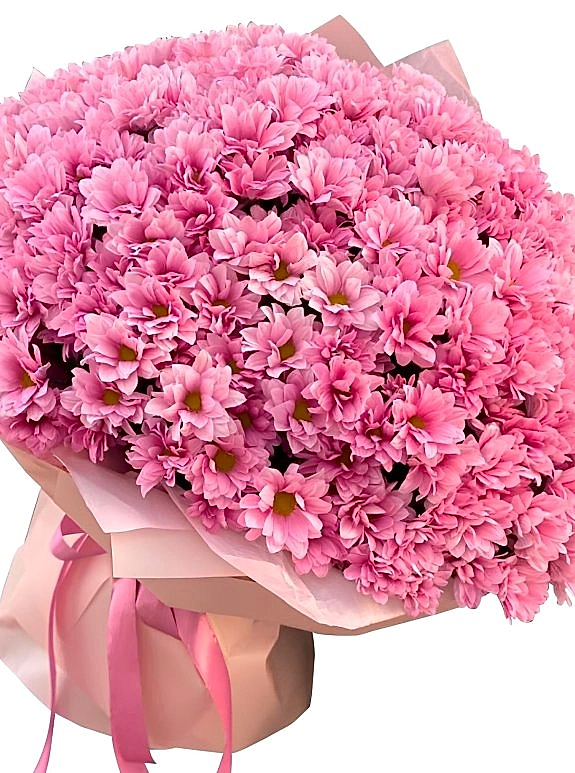 Pembe Kasımpatı Buketi