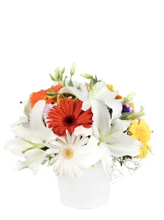 Seramikte Kazabilanka ve Gerberalar