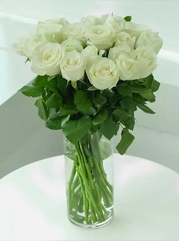 Vazoda 15 Beyaz Gül