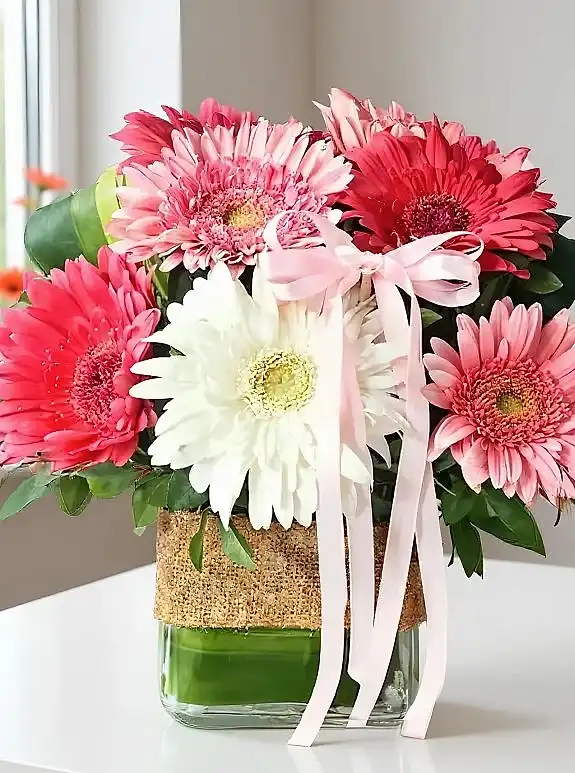 Vazoda Beyaz ve Pembe Gerbera
