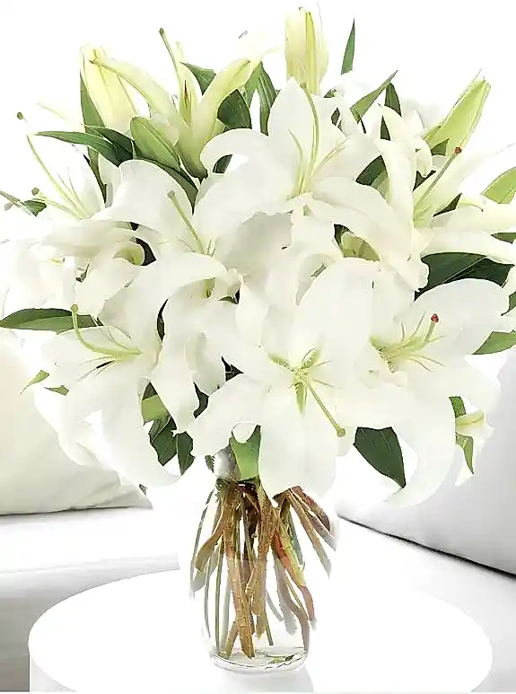 Vazoda Büyük Boy Lilyumlar