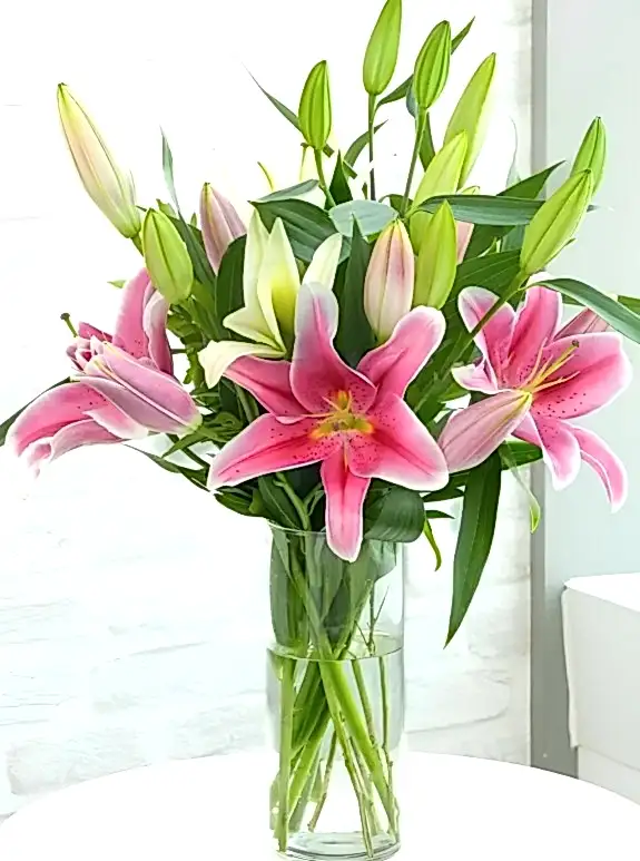 Vazoda Büyük Lilyumlar